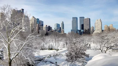 10 Planes imperdibles para el invierno en Nueva York (+Datos)