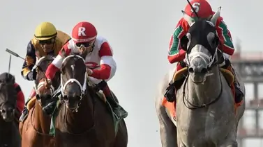 Habla el propietario del potro que montará Emisael Jaramillo en Inglaterra Habla el propietario del potro que montará Emisael Jaramillo en Inglaterra