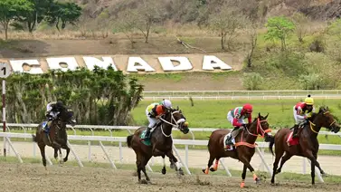 De la forma como ajustó este potro debe de "meter un poste" en La Rinconada De la forma como ajustó este potro debe de "meter un poste" en La Rinconada
