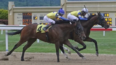 Jockey Puertorriqueño alcanza los 2.000 triunfos en Estados Unidos 