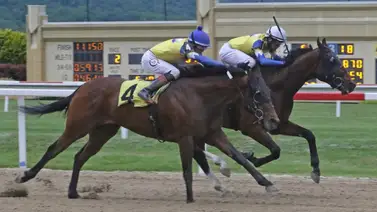 Jockey Puertorriqueño alcanza los 2.000 triunfos en Estados Unidos Jockey Puertorriqueño alcanza los 2.000 triunfos en Estados Unidos