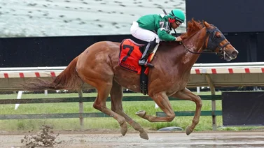 Jockey boricua hace triplete y gana el Stakes de la jornada este hipódromo