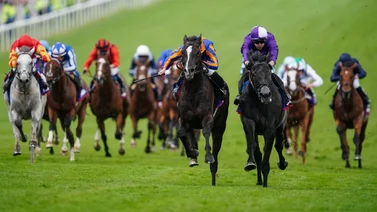 Este sábado se corre el clásico más longevo del hipismo en Inglaterra: El Epson Derby (G1)