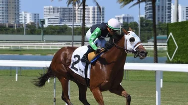 Emisael Jaramillo pone a cobrar este jueves en Gulfstream Park 