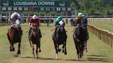 Polémica en el hipismo norteamericano por nuevas disposiciones sobre el Clenbuterol en Louisiana Polémica en el hipismo norteamericano por nuevas disposiciones sobre el Clenbuterol en Louisiana