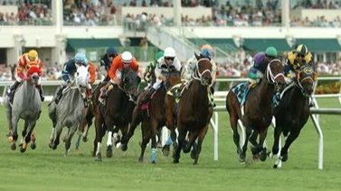 Aquí el Best Bet y los Tips para Gulfstream Park 31-05-2024