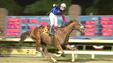 Estos son los nuevos miembros del Salón de la Fama del Hipismo en Puerto Rico Estos son los nuevos miembros del Salón de la Fama del Hipismo en Puerto Rico
