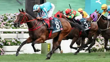 El mejor caballo del mundo en grama correrá este domingo en Japón por un cupo para la Breeder's Cup 2024 El mejor caballo del mundo en grama correrá este domingo en Japón por un cupo para la Breeder's Cup 2024