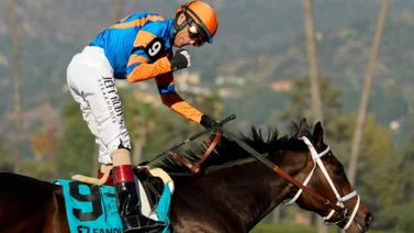 Fierceness no va al Belmont Stakes (G1) por esta razón