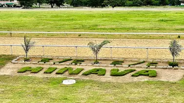 Datos de última hora para el hipódromo de Valencia 1-6-2024 Datos de última hora para el hipódromo de Valencia 1-6-2024