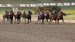 Estos son los clásicos que dan cupo para la Serie Hípica del Caribe 2024 en Venezuela 