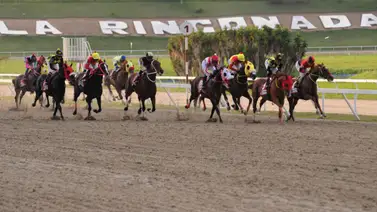 Estos son los clásicos que dan cupo para la Serie Hípica del Caribe 2024 en Venezuela Estos son los clásicos que dan cupo para la Serie Hípica del Caribe 2024 en Venezuela