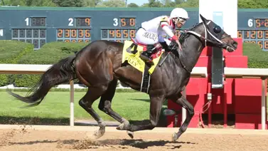 Aquí el Best Bet y el Pick Six de seis clásicos en Churchill Downs 01-06-2024 Aquí el Best Bet y el Pick Six de seis clásicos en Churchill Downs 01-06-2024