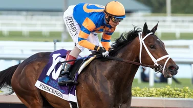 El Regreso de Fierceness: Campeón de los Eclipse Awards 2023 regresa a la pista este sábado