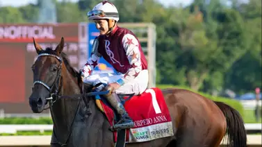 Thorpedo Anna en la caza de un nuevo triunfo: La estrella de Churchill Downs regresa este sábado Thorpedo Anna en la caza de un nuevo triunfo: La estrella de Churchill Downs regresa este sábado