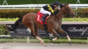 Kentucky Derby: Este es el jockey que tiene la racha de más montas sin poder ganar la Carrera de las Rosas Kentucky Derby: Este es el jockey que tiene la racha de más montas sin poder ganar la Carrera de las Rosas