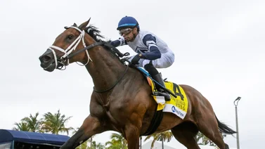 Una de las favoritas para ganar el Kentucky Oaks se lesiona y tiene que ser retirada