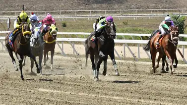 Este ejemplar no esta entre los favoritos y ajustó cómodo para sorprender en el 5y6 de la R16 Este ejemplar no esta entre los favoritos y ajustó cómodo para sorprender en el 5y6 de la R16