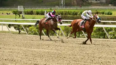 Un ejemplar a tener en cuenta en la carrera de los acumulados del 5y6: La sorpresa podría llegar gracias a su ajuste Un ejemplar a tener en cuenta en la carrera de los acumulados del 5y6: La sorpresa podría llegar gracias a su ajuste