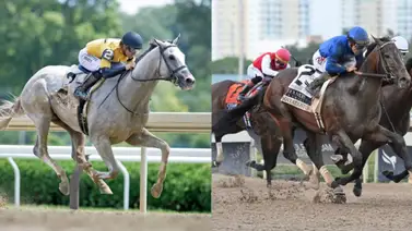 Kentucky Derby: ¡Cábala o suerte! Esta letra del abecedario es la que más ganadores ha dado en el Kentucky Derby Kentucky Derby: ¡Cábala o suerte! Esta letra del abecedario es la que más ganadores ha dado en el Kentucky Derby