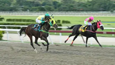 Más allá del papel: Este ejemplar que da por video podría ser la respuesta en el 5y6 de carrera compleja Más allá del papel: Este ejemplar que da por video podría ser la respuesta en el 5y6 de carrera compleja