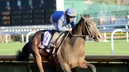 Kentucky Derby: Estas son las montas de Junior Alvarado el sábado en el Kentucky Derby