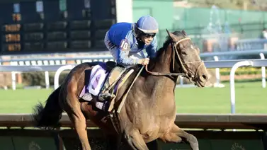 Kentucky Derby: Estas son las montas de Junior Alvarado el sábado en el Kentucky Derby Kentucky Derby: Estas son las montas de Junior Alvarado el sábado en el Kentucky Derby
