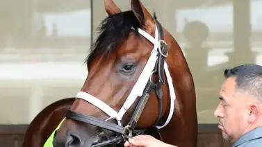 Kentucky Derby: Este hubiese sido un récord sin precedentes en la presente edición para el Derby de las Rosas Kentucky Derby: Este hubiese sido un récord sin precedentes en la presente edición para el Derby de las Rosas