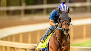 Kentucky Derby: Tres hijos de triplecoronados están presente en la gala hípica mundial de los Reyes Kentucky Derby: Tres hijos de triplecoronados están presente en la gala hípica mundial de los Reyes