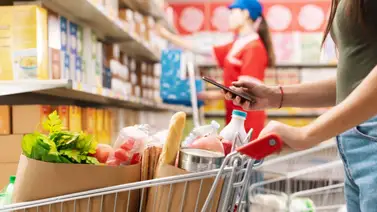 cupones SNAP en Florida cupones SNAP en Florida