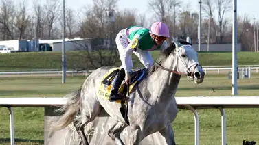 ¡Increíble! Mira los favoritos de la inteligencia artificial para ganar el Kentucky Derby 2025 ¡Increíble! Mira los favoritos de la inteligencia artificial para ganar el Kentucky Derby 2025