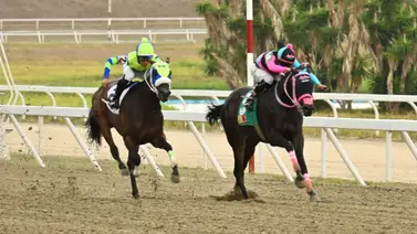 Imperdible: Este es el dato más corrido que promete sorprender una victoria inesperada para el 5y6 dominical Imperdible: Este es el dato más corrido que promete sorprender una victoria inesperada para el 5y6 dominical