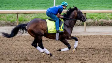 Kentucky Derby: Sepa en que le beneficia a Junior Alvarado el retiro del ejemplar Grande Kentucky Derby: Sepa en que le beneficia a Junior Alvarado el retiro del ejemplar Grande