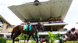 ¡Atención! Estos son los caballos con más fuerza en La Rinconada