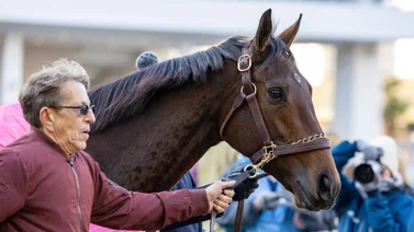 Thorpedo Anna no puede mantener su racha y pierde en el La Troienne Stakes