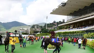 Si Chiefsttar y Akas Team no te convencen: Aquí hay una opción de mayor dividendo Si Chiefsttar y Akas Team no te convencen: Aquí hay una opción de mayor dividendo