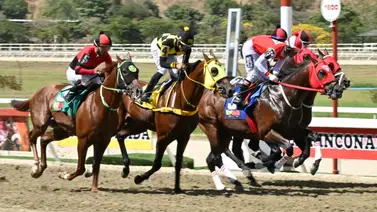 Atención aficionados hípicos: Este caballo se roba el show con uno de los mejores ajustes para el 5y6 dominical Atención aficionados hípicos: Este caballo se roba el show con uno de los mejores ajustes para el 5y6 dominical