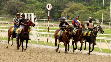 Entrenador debutante recomienda no dejar por fuera a estos ejemplares para el 5y6 dominical (+entrevista) Entrenador debutante recomienda no dejar por fuera a estos ejemplares para el 5y6 dominical (+entrevista)