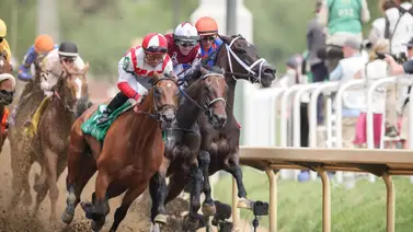 Mira lo que dijo el entrenador de Thorpedo Anna un día después de su fracaso en La Troienne Stakes Mira lo que dijo el entrenador de Thorpedo Anna un día después de su fracaso en La Troienne Stakes