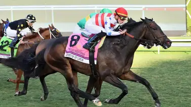 Manuel Franco se queda con último Stakes antes del Kentucky Derby G1 Manuel Franco se queda con último Stakes antes del Kentucky Derby G1