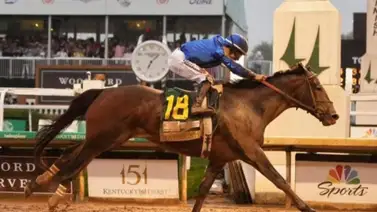 Así reacciona el presidente del INH Antonio “Potro” Álvarez al triunfo de Junior Alvarado en el Kentucky Derby (Video) Así reacciona el presidente del INH Antonio “Potro” Álvarez al triunfo de Junior Alvarado en el Kentucky Derby (Video)