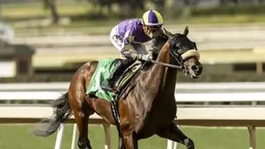 Este es el primer ejemplar que se baja del Preakness Stakes del 17 de mayo Este es el primer ejemplar que se baja del Preakness Stakes del 17 de mayo