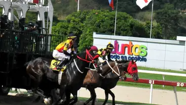 Segunda semana con más de 60 millones de bolívares con monto récord en el 5y6 Segunda semana con más de 60 millones de bolívares con monto récord en el 5y6