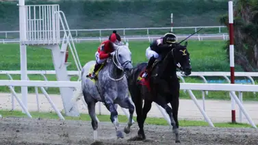 Así quedaron los resultados de las carreras en La Rinconada 4-5-2025 Así quedaron los resultados de las carreras en La Rinconada 4-5-2025