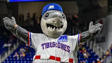 LVBP: Tiburones anuncia nuevo gerente derportivo (+Detalles)