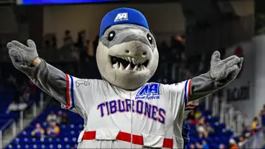 LVBP: Tiburones anuncia nuevo gerente derportivo (+Detalles) LVBP: Tiburones anuncia nuevo gerente derportivo (+Detalles)