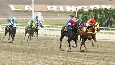 Jinete y entrenador bajo la lupa: Abren investigación administrativa en La Rinconada Jinete y entrenador bajo la lupa: Abren investigación administrativa en La Rinconada