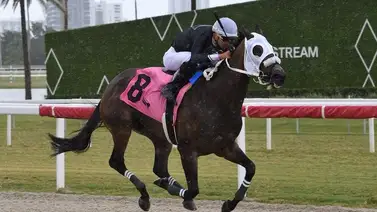 Leonel Reyes Ramos metió Póker de ganadores con selectiva incluida Leonel Reyes Ramos metió Póker de ganadores con selectiva incluida