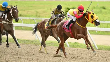 Exámenes post-carrera para favorita en La Rinconada tras la jornada hípica número 16 Exámenes post-carrera para favorita en La Rinconada tras la jornada hípica número 16