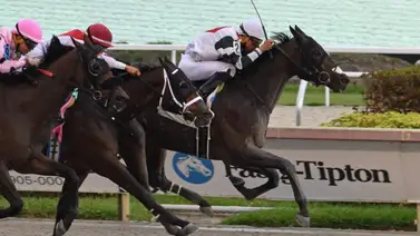 Hijo de yegua venezolana retoma la senda victoriosa en Estados Unidos Hijo de yegua venezolana retoma la senda victoriosa en Estados Unidos